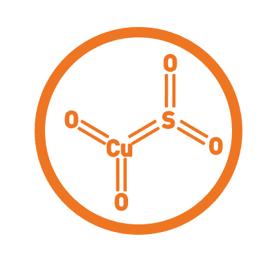 Lactobacillus rhamnosus