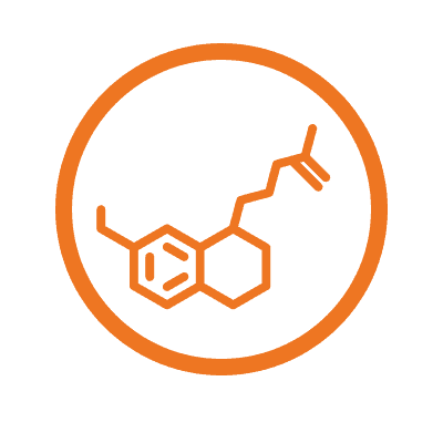 Lactobacillus rhamnosus