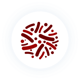 Lactobacillus plantarum Lactobacillus plantarum