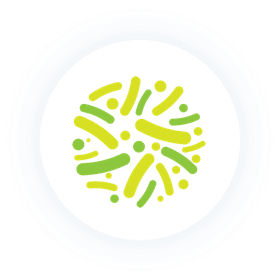 Lactobacillus plantarum Lactobacillus plantarum