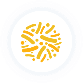 Lactobacillus rhamnosus Lactobacillus rhamnosus