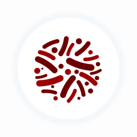 Lactobacillus rhamnosus