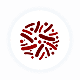 Lactobacillus rhamnosus Lactobacillus rhamnosus