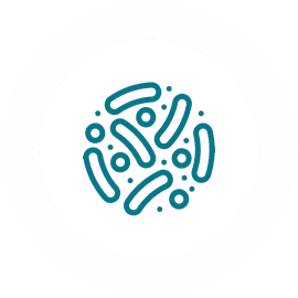 rond-souche-microbiotique-green